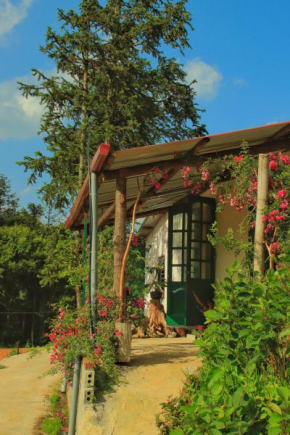 Private House in SaPa Centre & Kitchen